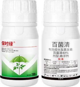 番茄早疫病 番茄早疫病