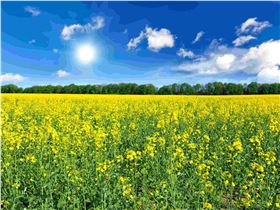 492eb4d3535a4493ad530cbf8a1d0b64_3.jpg 492eb4d3535a4493ad530cbf8a1d0b64_3.jpg