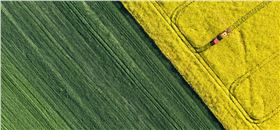 稻田背景.jpg 稻田背景.jpg