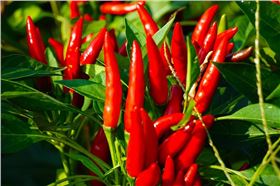 5bfe351229f74aacb0907b662f0e89ef_6.jpg 5bfe351229f74aacb0907b662f0e89ef_6.jpg