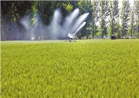 一喷三防.jpg 一喷三防.jpg