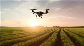 一喷三防.jpg 一喷三防.jpg