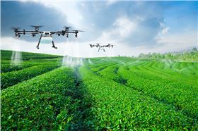 水溶肥海藻肥厂家