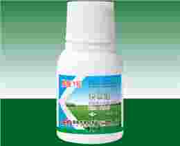 小麦尖叶除草剂【野燕麦特效】