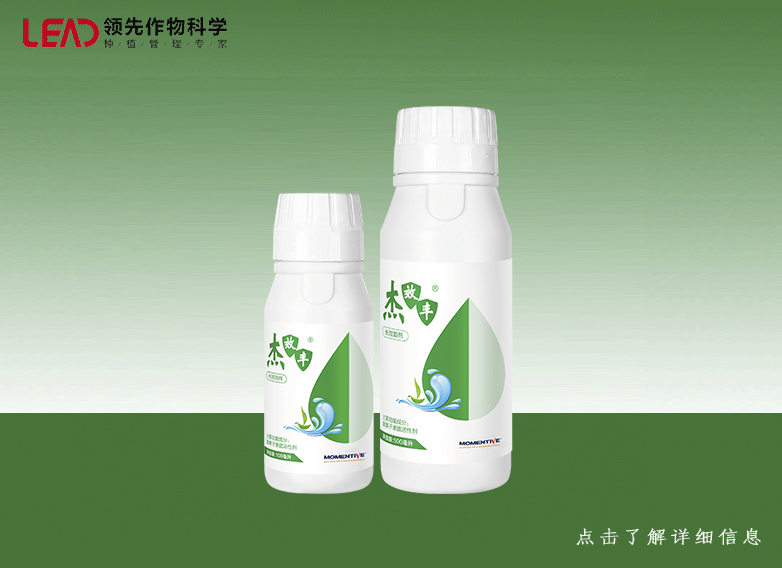 杰效丰---长效助剂