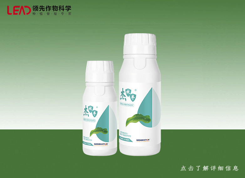 杰效丰---耐雨助剂