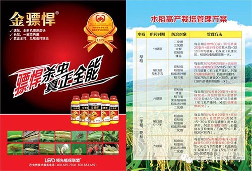 领先金骠悍杀虫剂