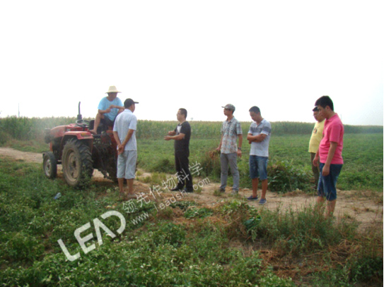 李总、家辉、小付还有技术员天美到田里 李总、家辉、小付还有技术员天美到田里