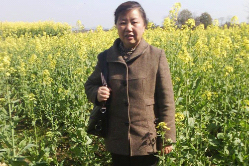 真心感谢领先公司