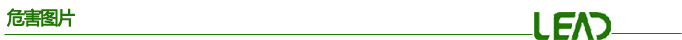 危害图片