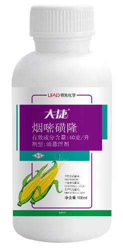 玉米苗后除草剂