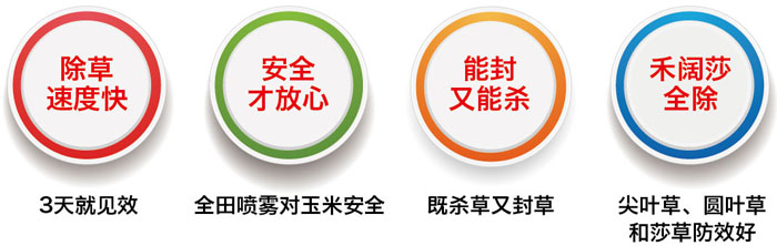玉米除草剂特点