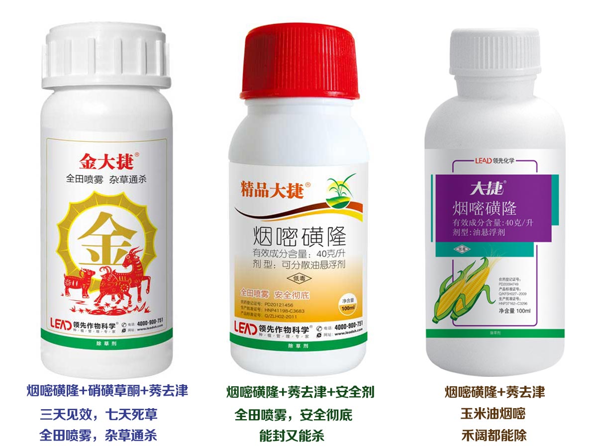 玉米苗后除草剂 玉米苗后除草剂