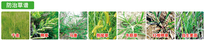 稻乐垦防治图谱