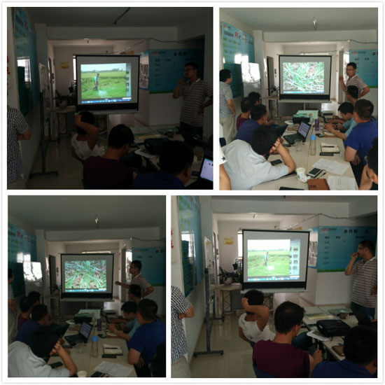 领先公司6月份会议稻乐垦实验