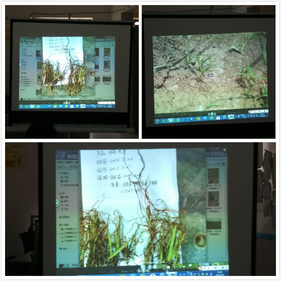 领先公司6月份市场会议