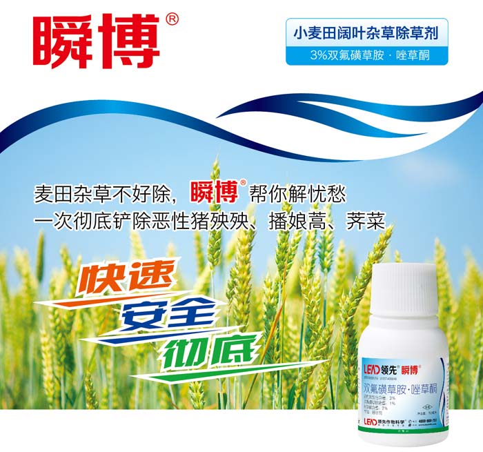 小麦田阔叶除草剂瞬博