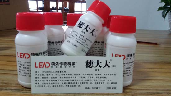 领先化工穗大大