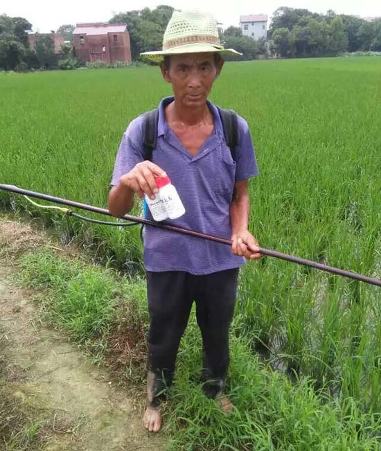 江西省乐平市毛家桥村用药实验图