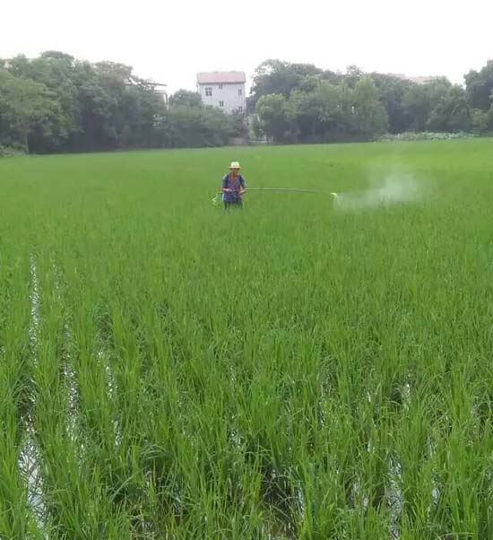 江西省乐平市毛家桥村用药实验图