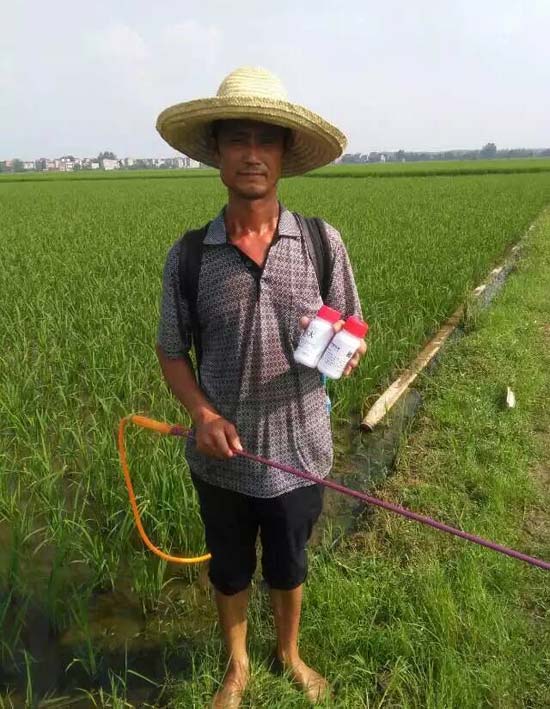 乐平市众埠镇方山村用药实验图