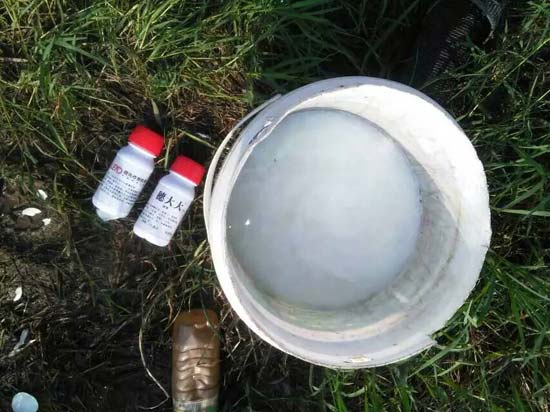 乐平市浯口镇西桥村用药实验图