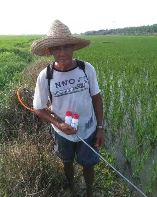 乐平市浯口镇西桥村用药实验图