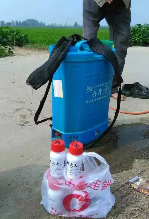 新沂市新店镇南涧村穗大大实验图