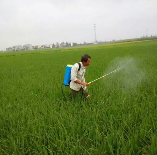 穗大大打药图