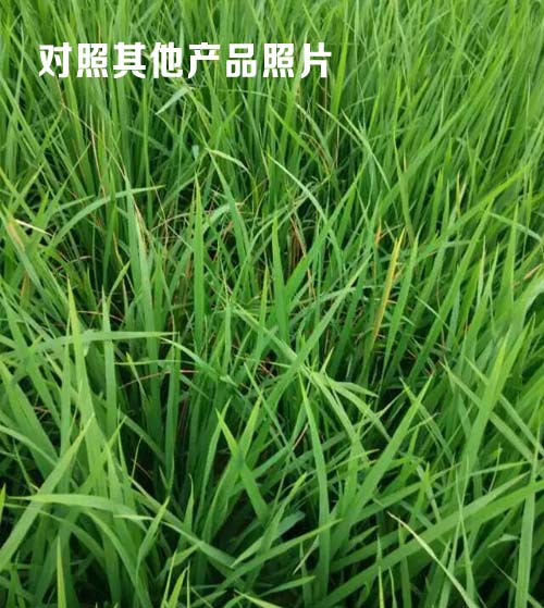 其他产品的效果