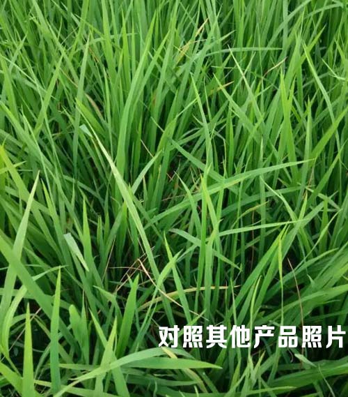 其他产品的效果