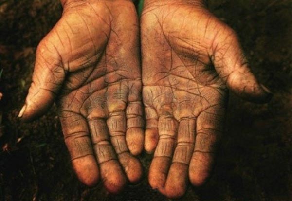 粮价低,农民受苦