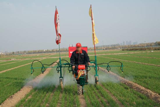 小麦田除草剂哪种最好?