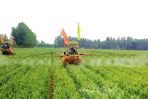 小麦打除草剂