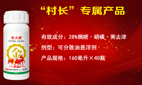 玉米除草剂招商