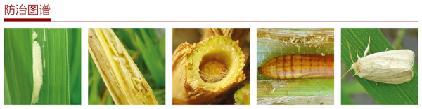 金透钻防治图谱