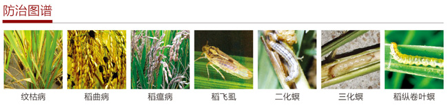 穗大大防治图谱