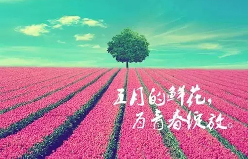 领先公司五四青年节活动