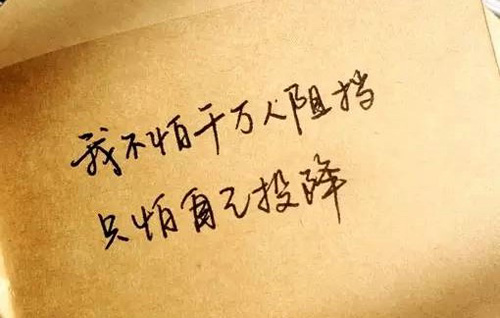 领先公司五四青年节活动