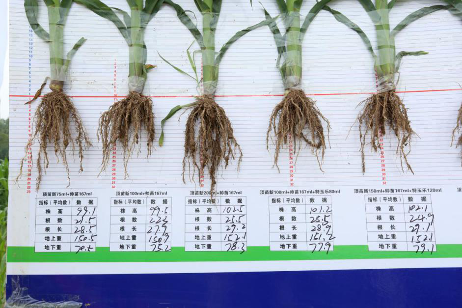 图片5.png 图片5.png