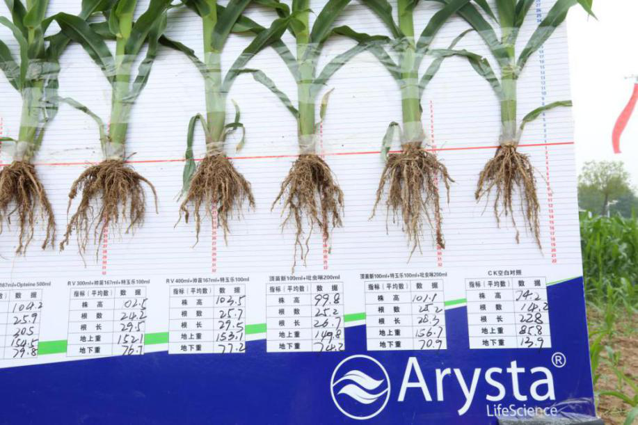 图片6.png 图片6.png