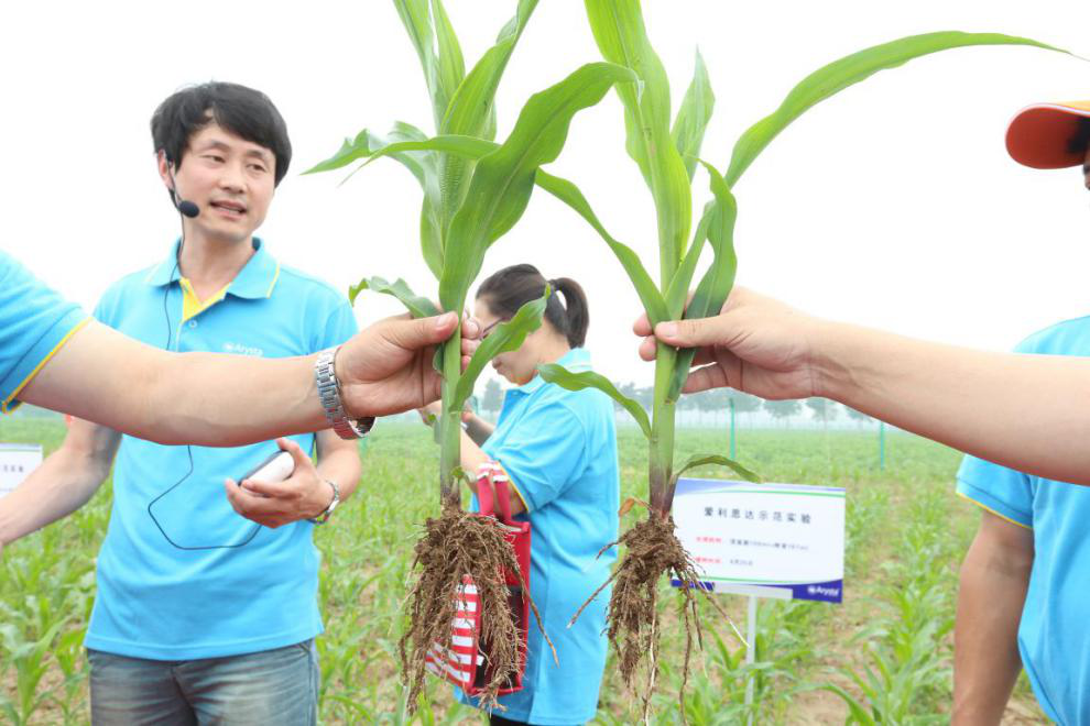 图片8.png 图片8.png