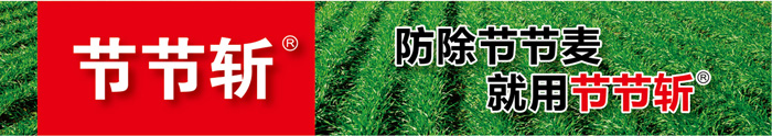 节节麦除草剂节节斩