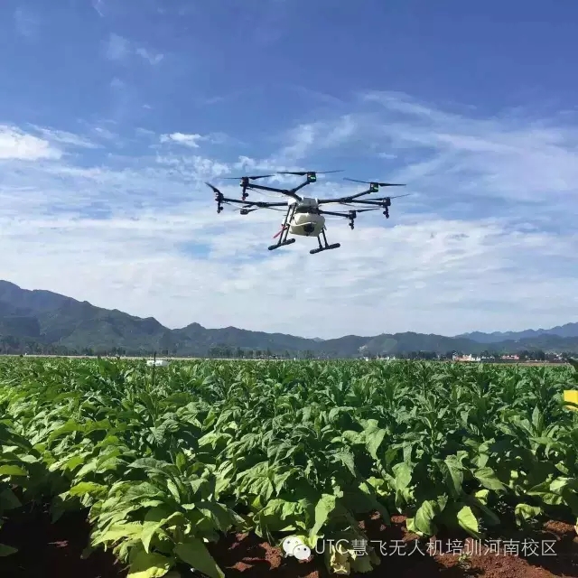 无人机打药作业