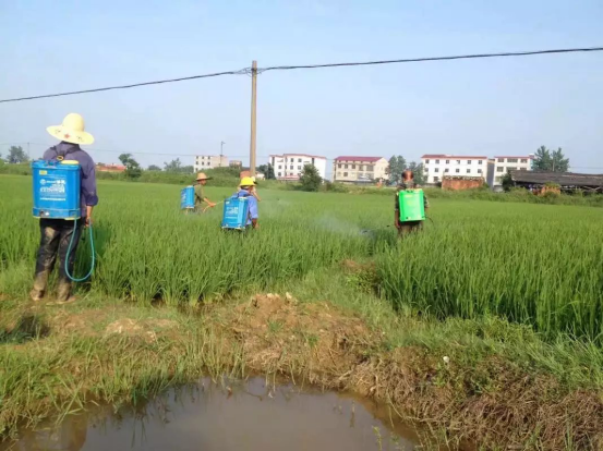 人工喷雾器打药对比