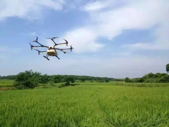 植保农业无人机飞防作业