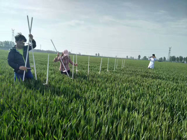 飞防作业图.jpg 飞防作业图.jpg