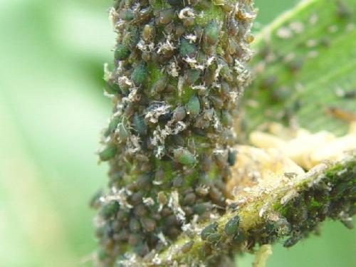 download.jpg download.jpg