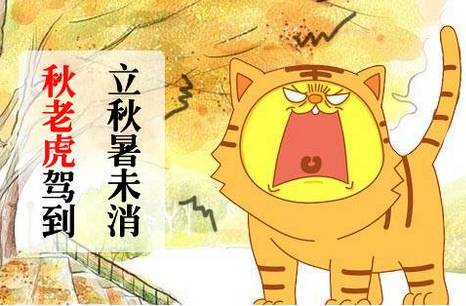 秋老虎.png