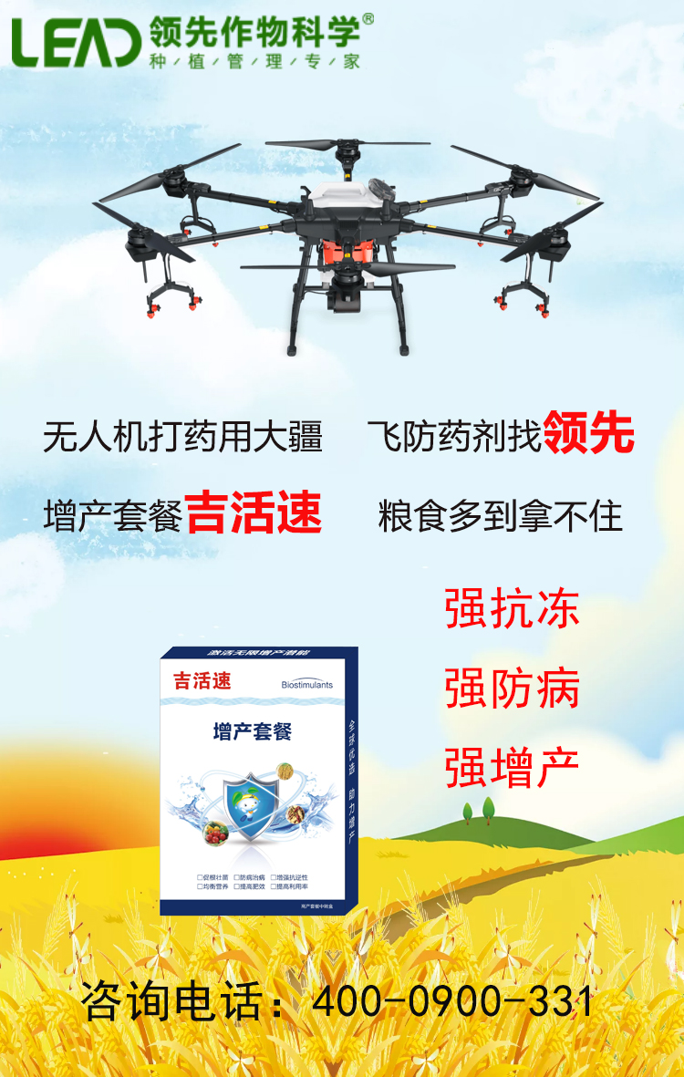 海报成型.jpg 海报成型.jpg